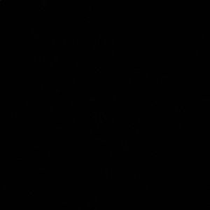 Meet your Posher, Trevor